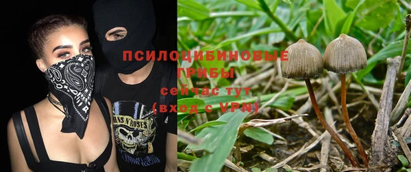 мескалин Алексеевка