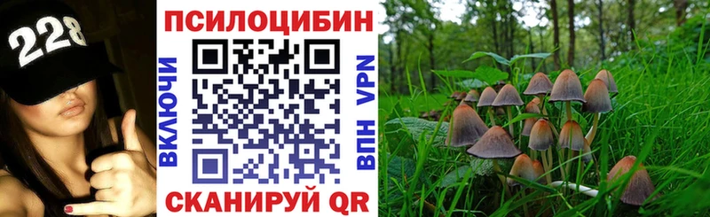 Псилоцибиновые грибы Psilocybine cubensis Тосно
